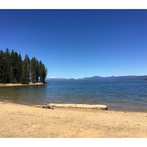 Meet your Posher, Liam